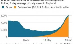 英国爆料病毒新闻最新,最新爆料揭示疫情背后惊人内幕