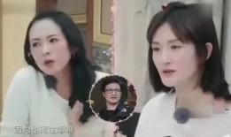 章子怡父母爆料了吗视频,揭秘明星家庭背后的故事